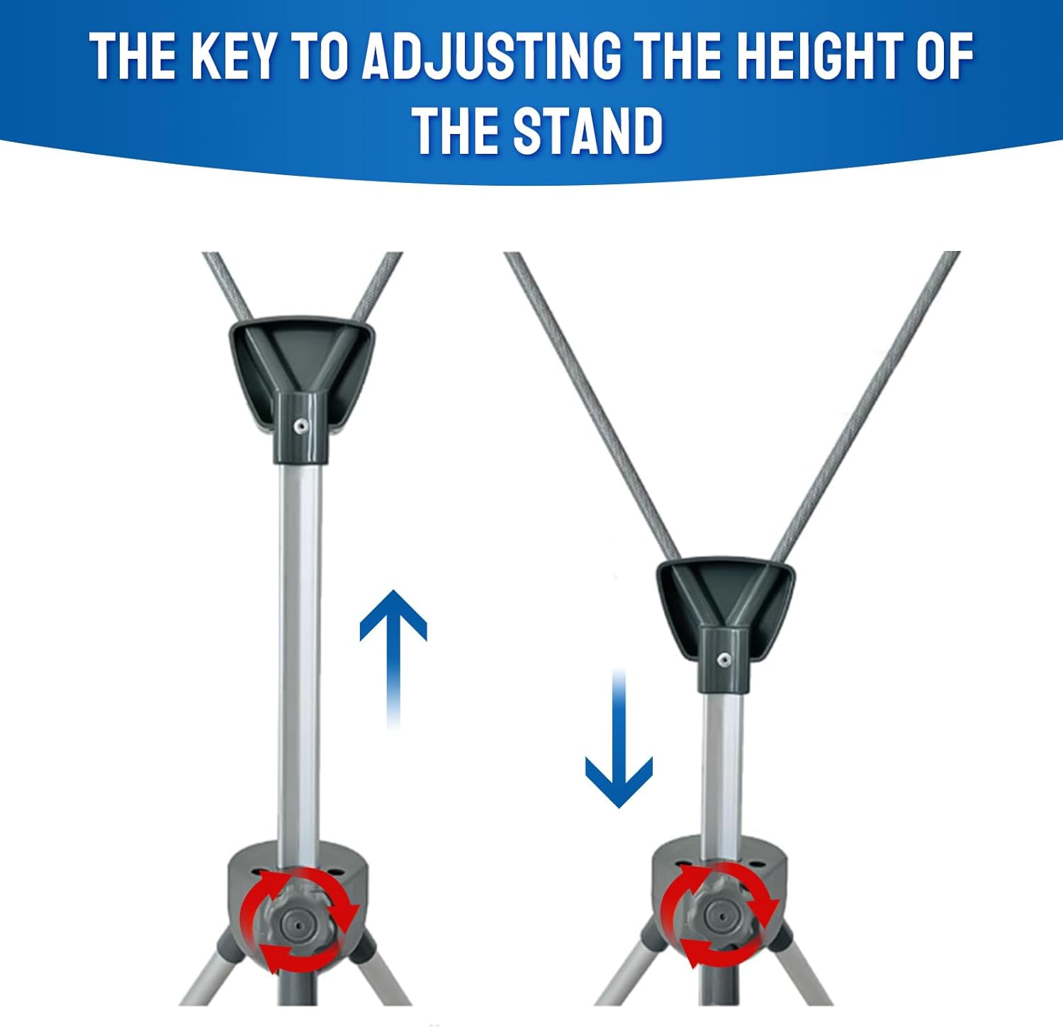 Banner & Stand